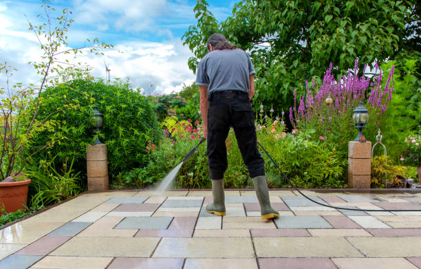 Best Fence Cleaning  in Idyllwild Pine Cove, CA